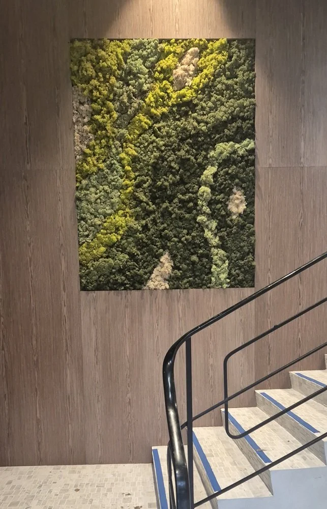 HERTEX FOYER , Surry Hills - Scalabrino Architecture