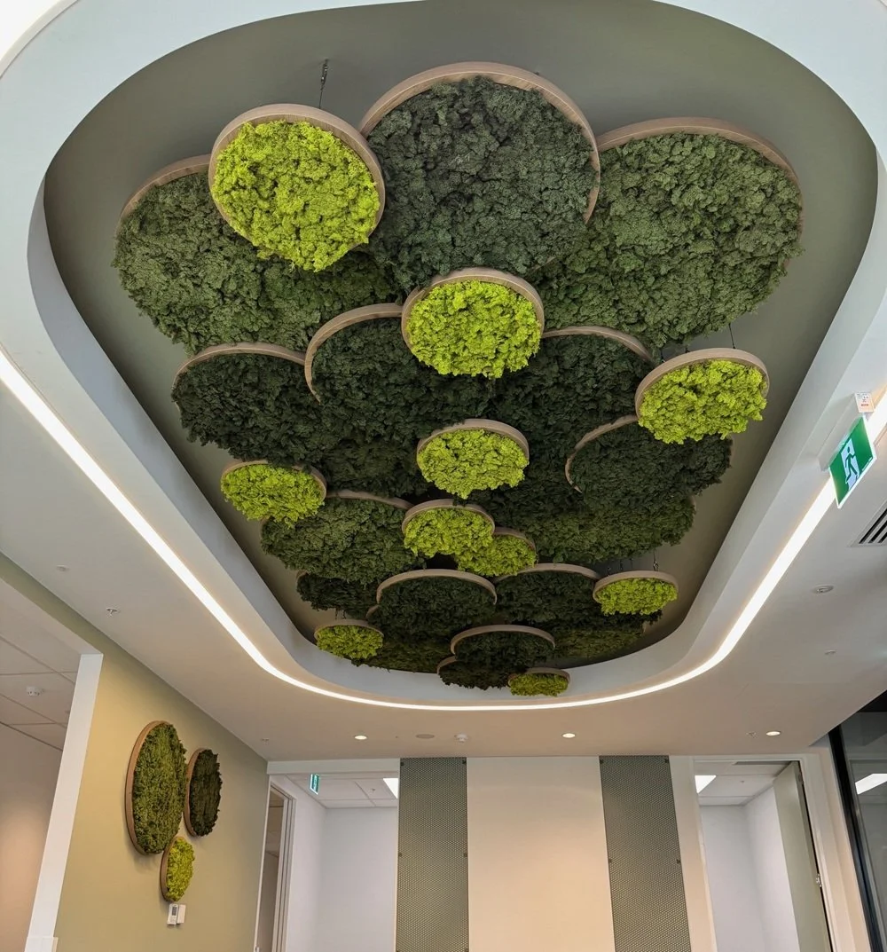 Northcote Radiology Clinic