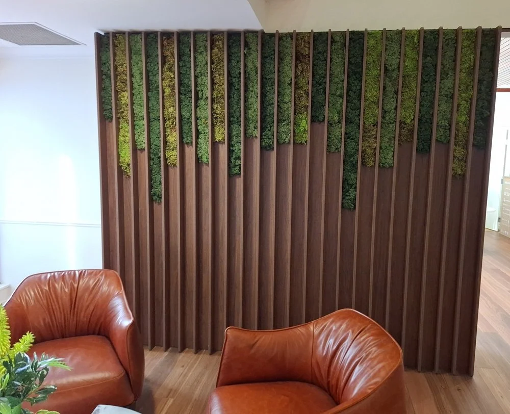 ST JUDE’S HEALTH CARE SERVICES - Cuil Creative