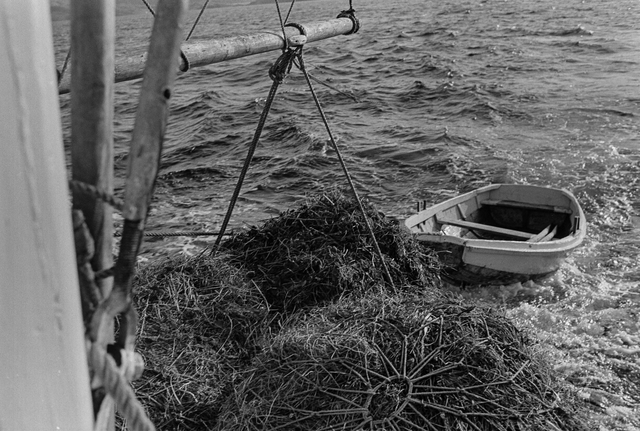 1968 Skarvfjordhamn-15.jpg