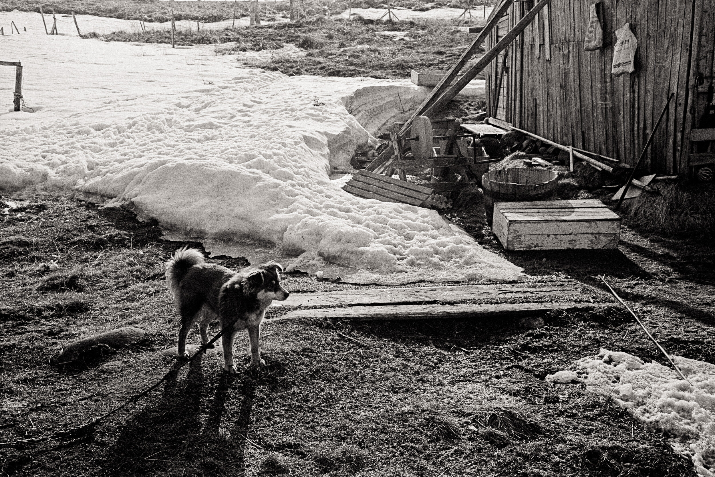 Hilmar i Falkebergbukta 1970