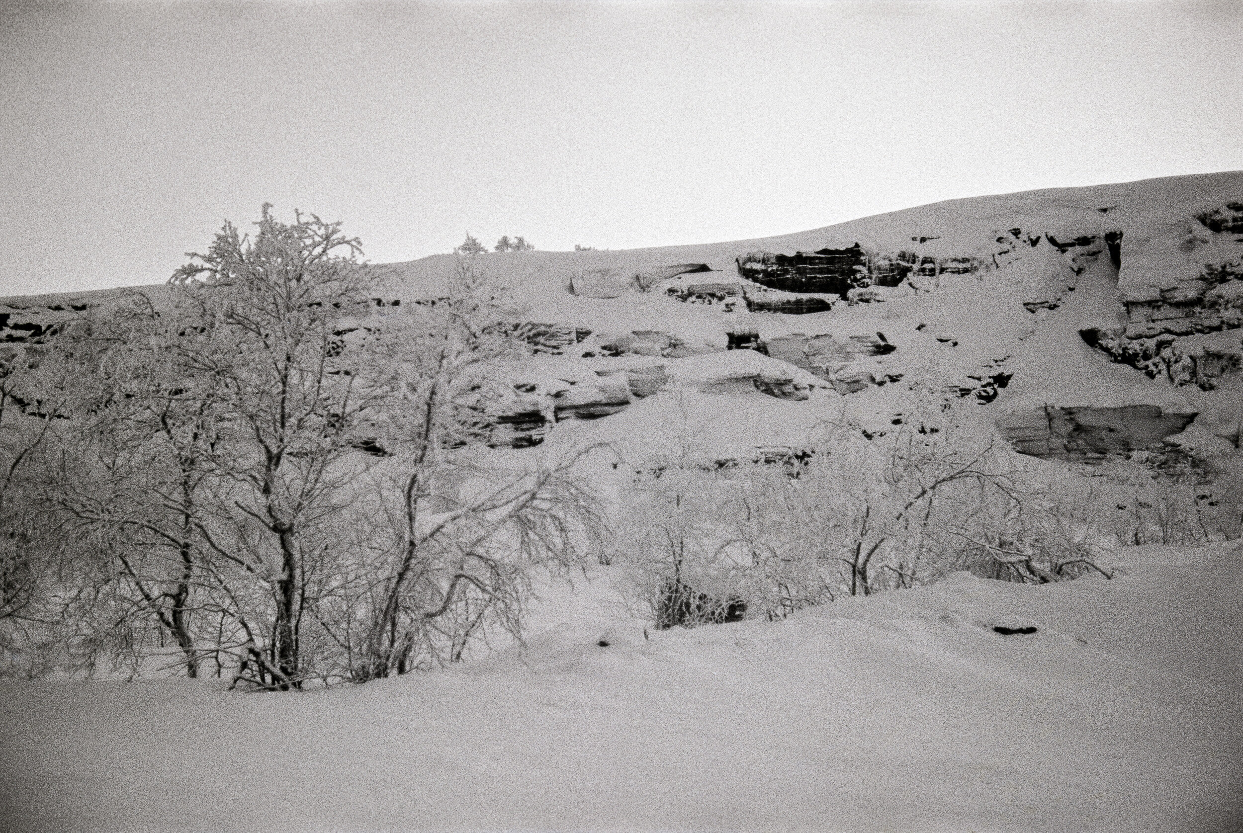 Alta-Aksjonen 1981-12.jpg