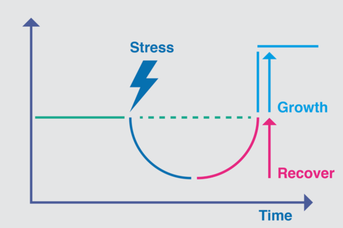 Screenshot 2020-09-01 at 11.34.37.png