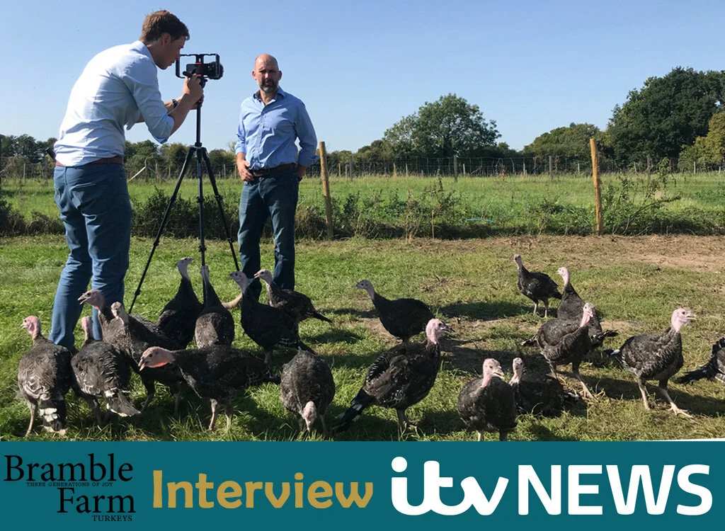 ITV News visit to Bramble Farm Turkeys in the Surrey Hills