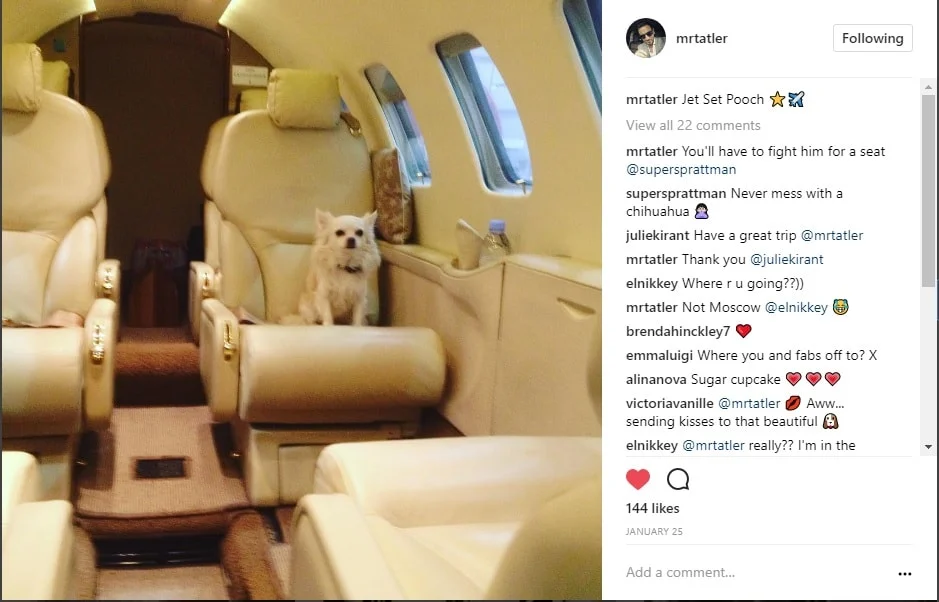 @mrtatler's chihuahua Fabio on-board a SuperFly private charter to Nice, France #JetSetPooch