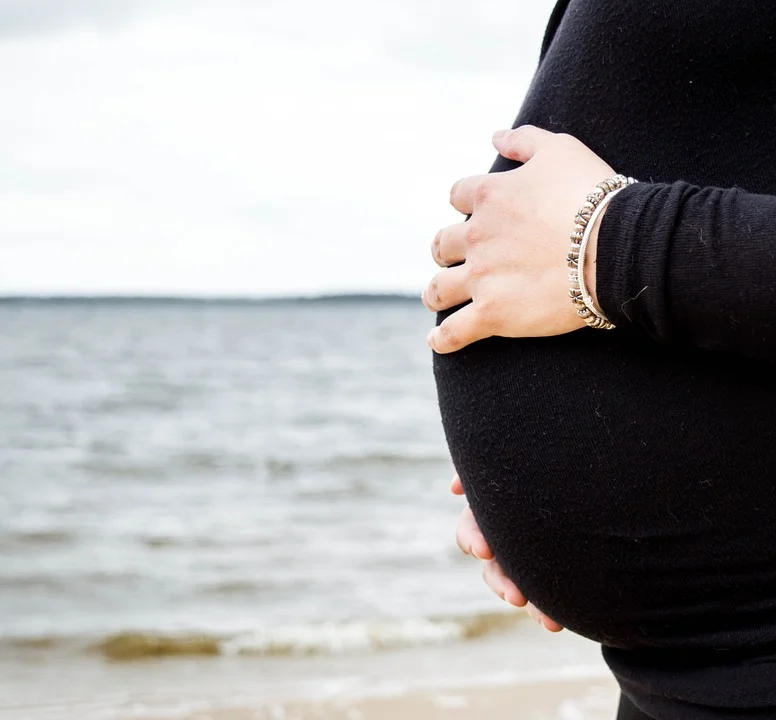 pregnant-735393_960_720.jpg