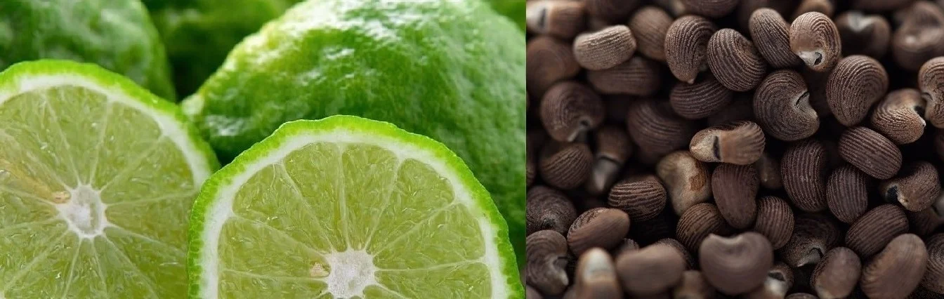 bergamot%252Bmusk.jpg
