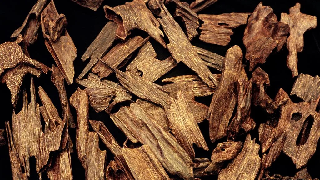 Oud Wood.jpg