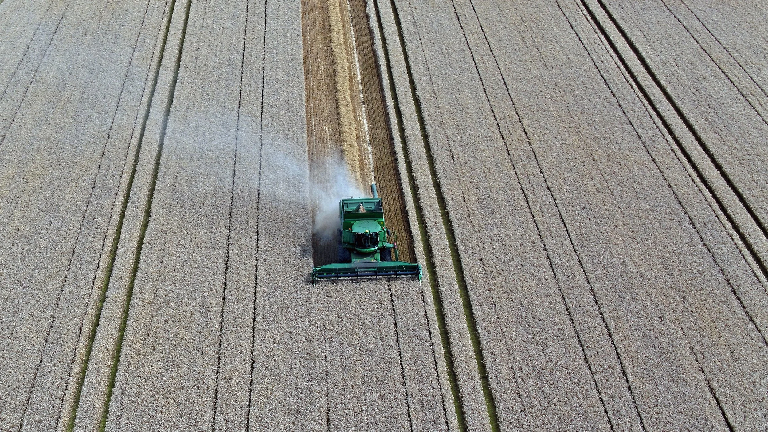 harvest time by drone.jpg