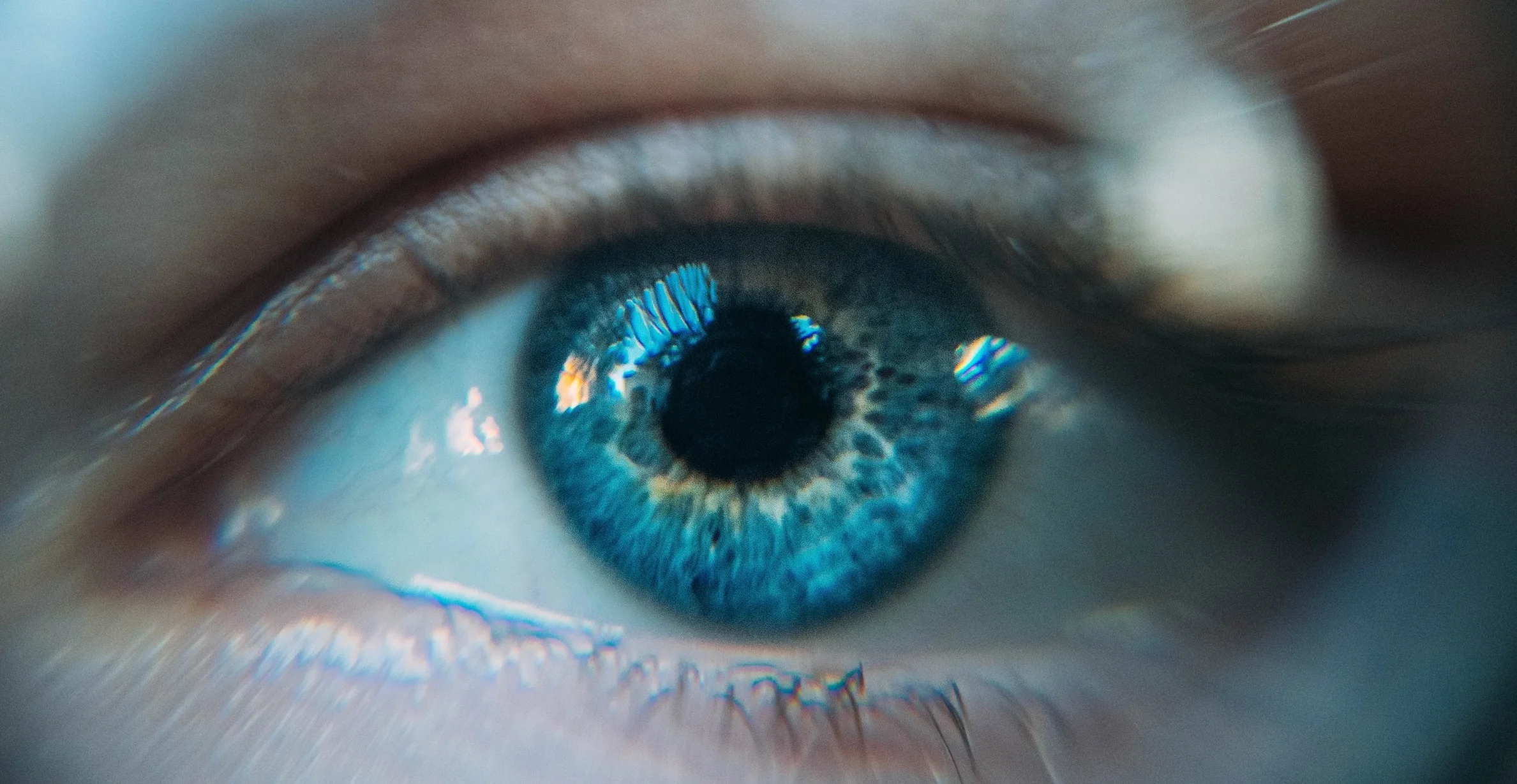 Photo by Daniil Kuželev on Unsplash