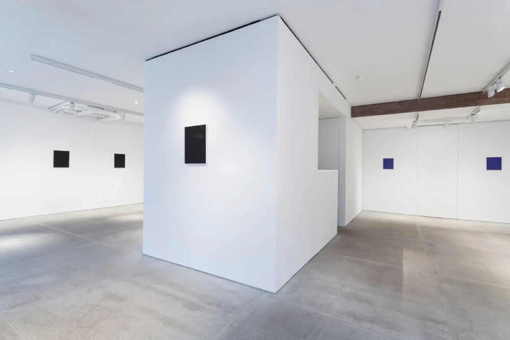 Installation View, Unannounced, TOTAH