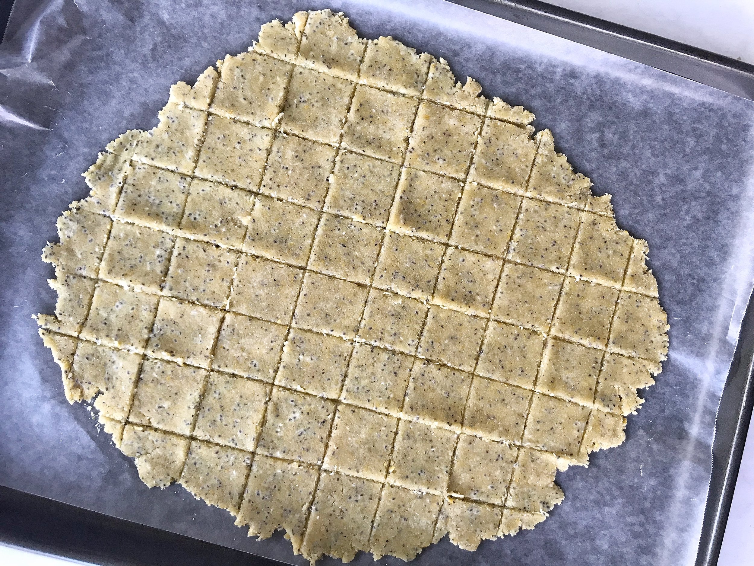 cheesy cracker recipe.jpeg
