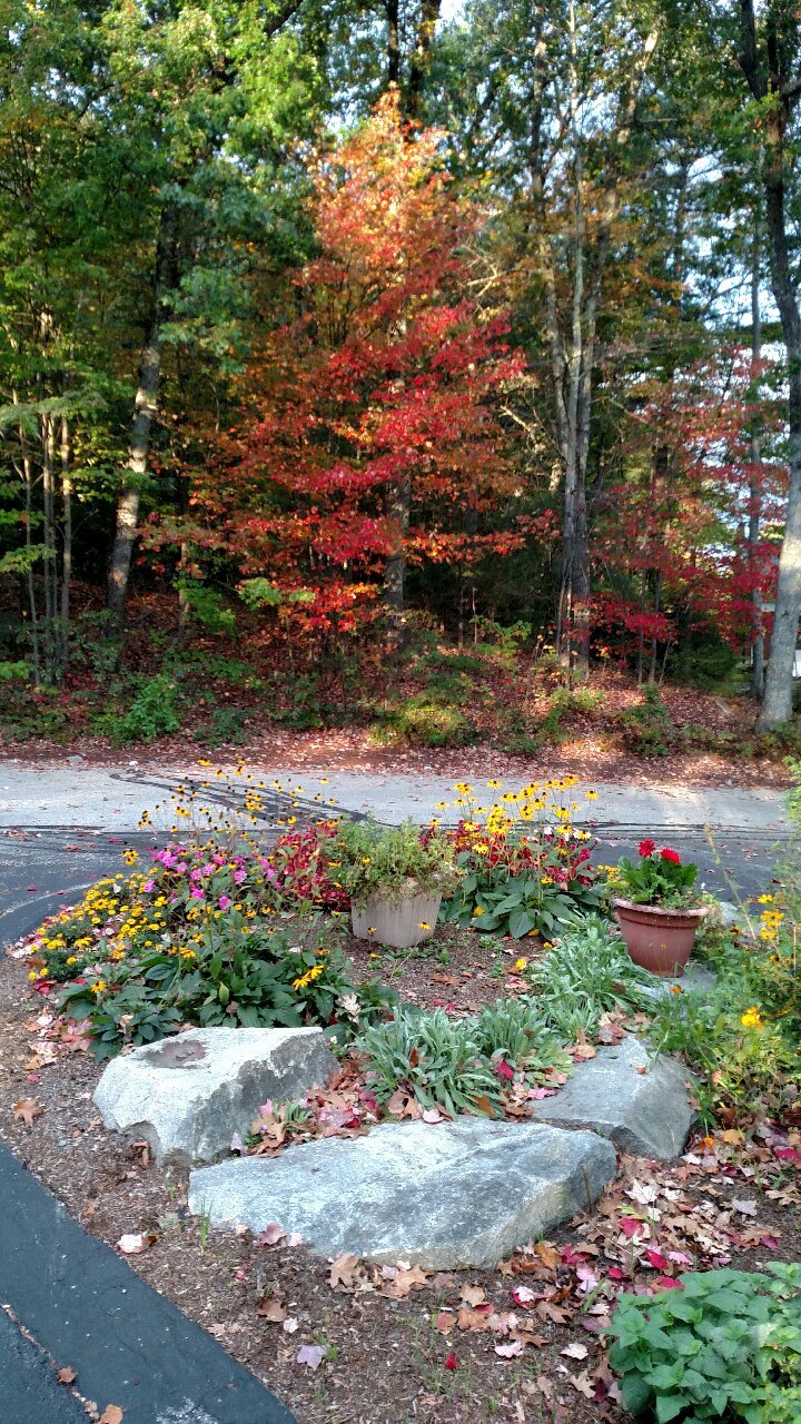 Fall garden.jpg