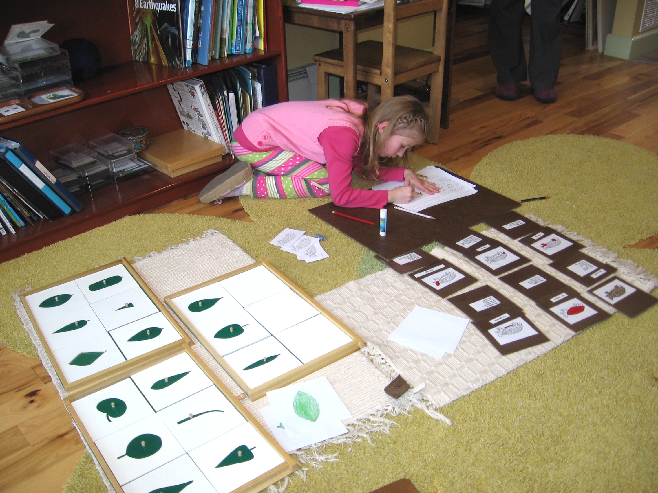 Reptile+and+leaf+work.jpg