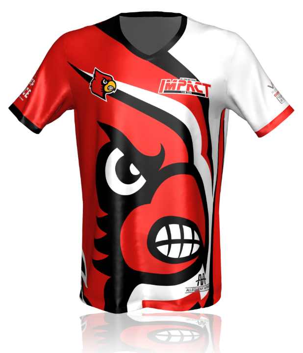 Custom Dye Sublimated Jerseys & Uniforms - Custom Team Jerseys