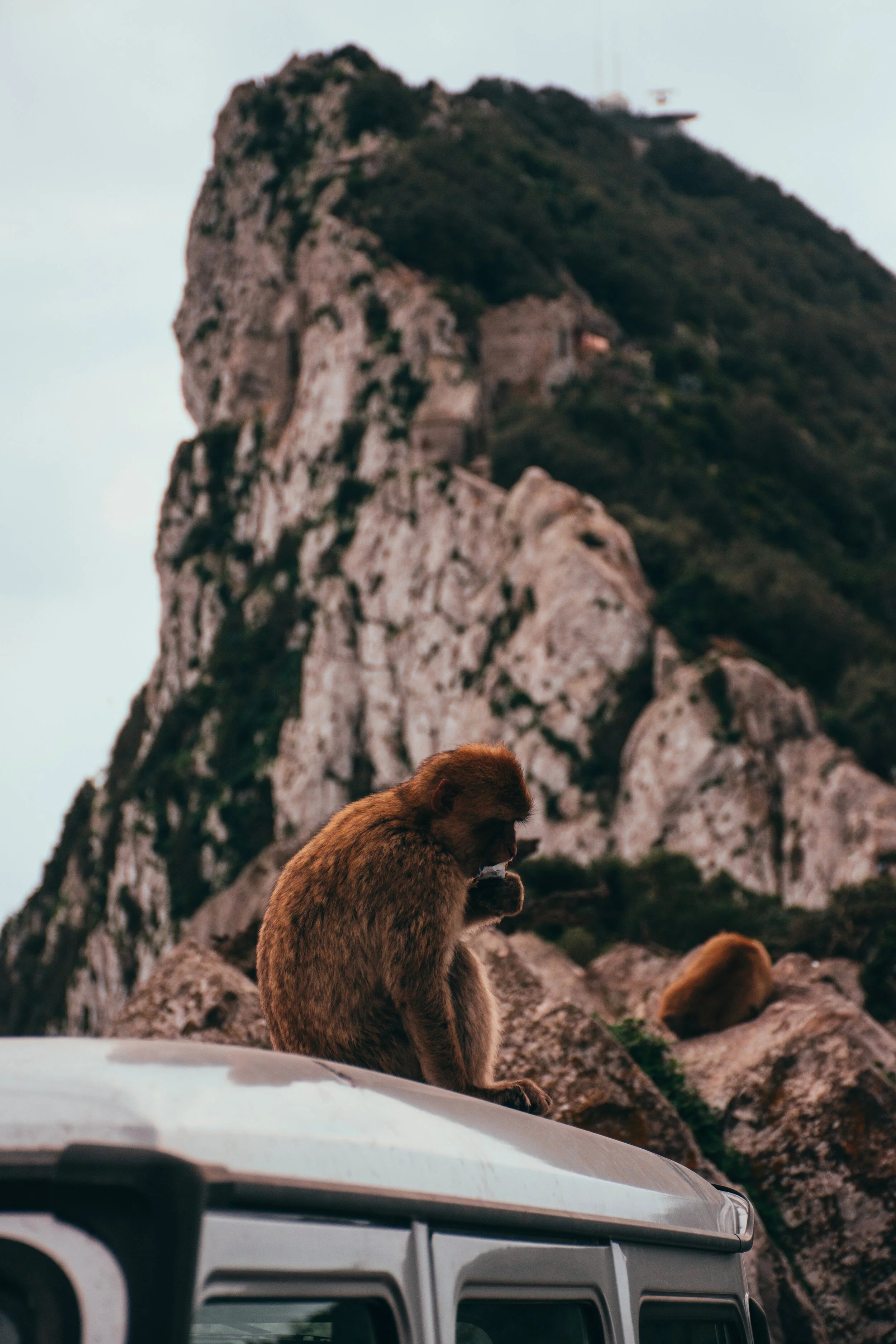 Architecture and Eurocity Gibraltar