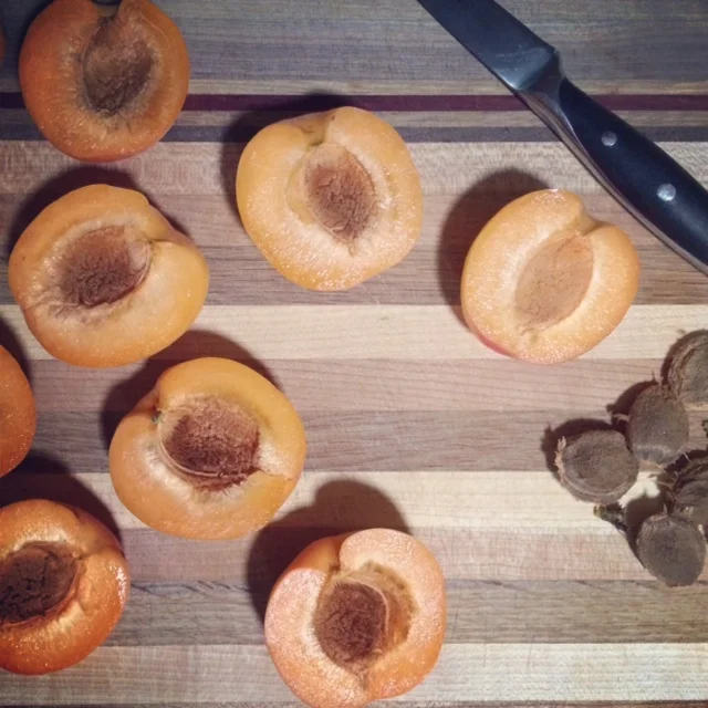 apricots.jpg