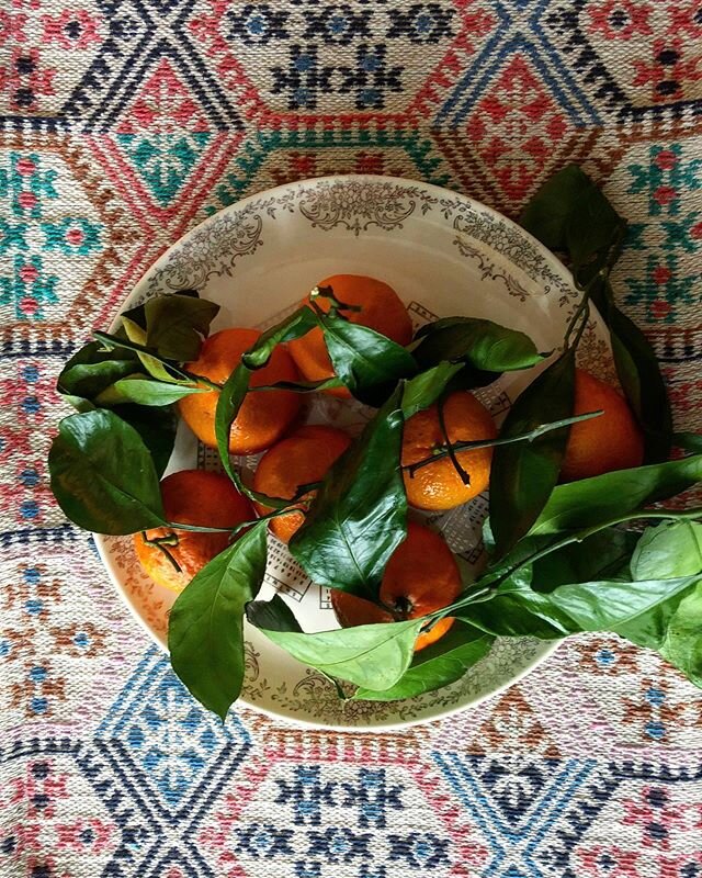 Good morning and happy new year from this plate of satsumas, the official fruit of Deep Winter in our house, kept on a cute plate on the table for offhand nibbling and sparking discussions about why the strawberries are not so great this time of year