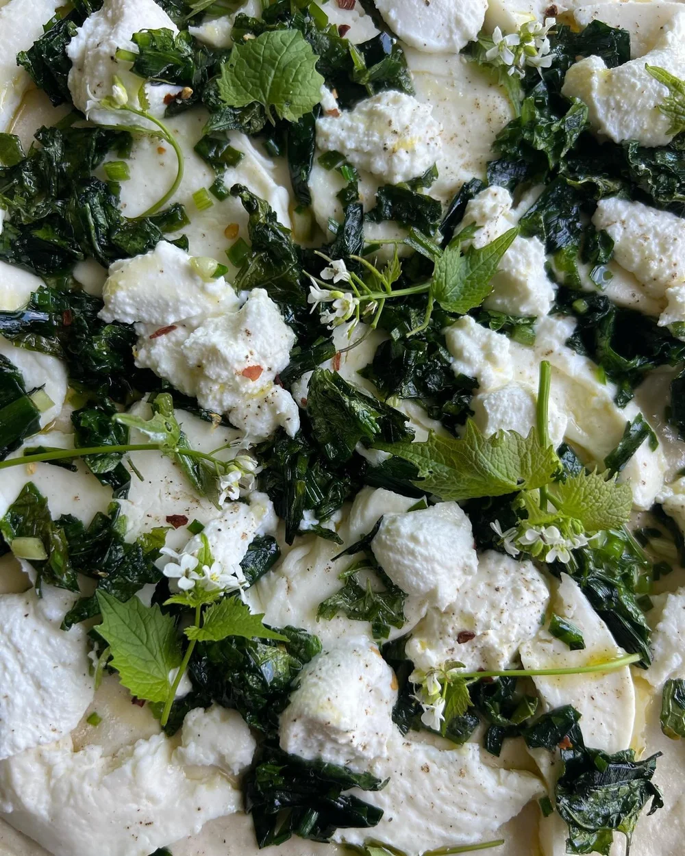 a very special Secret Lunch yesterday 🌿 celebrating this season of tender little alliums that seem to be EVERYWHERE. three cute oniony sisters: field garlic, ramp leaves, and garlic mustard, all growing in abundance nearby. cooked quickly in olive o