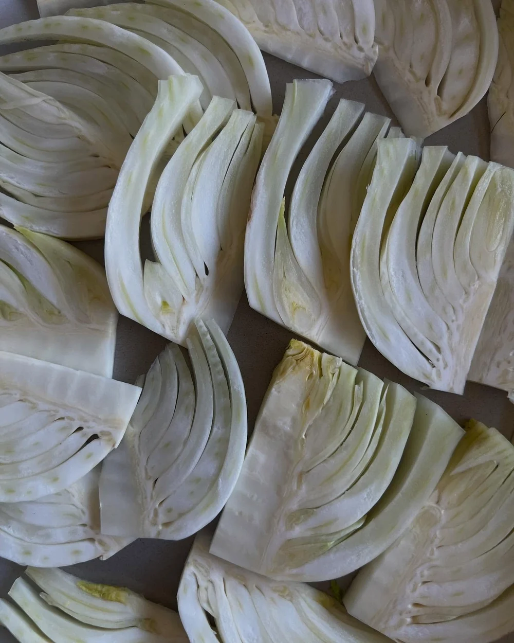 wrote a bunch about fennel and assimilation for the newsletter. I've known for a long time that the Italian food I grew up eating wasn't the food my great-grands in Calabria would have eaten, and that's OK. but what would I be eating if (so, so many)