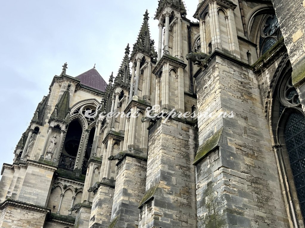 #reims #france #europe #champagne #notredamedereims #cathedral #architecture