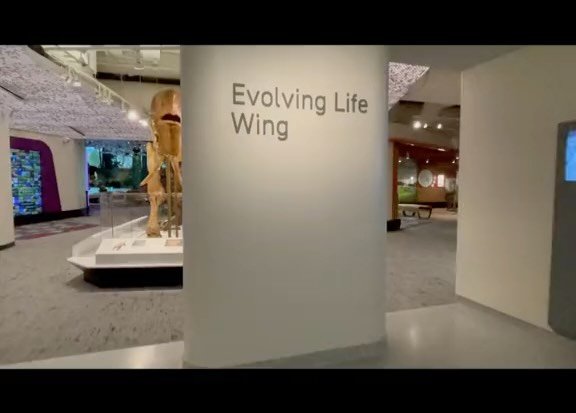 Last week the Cleveland Museum of Natural History officially opened to the public after a 5+ year re-design, expansion and complete transformation. I grew up going to this museum, and it has been a career milestone for me to see this project through 