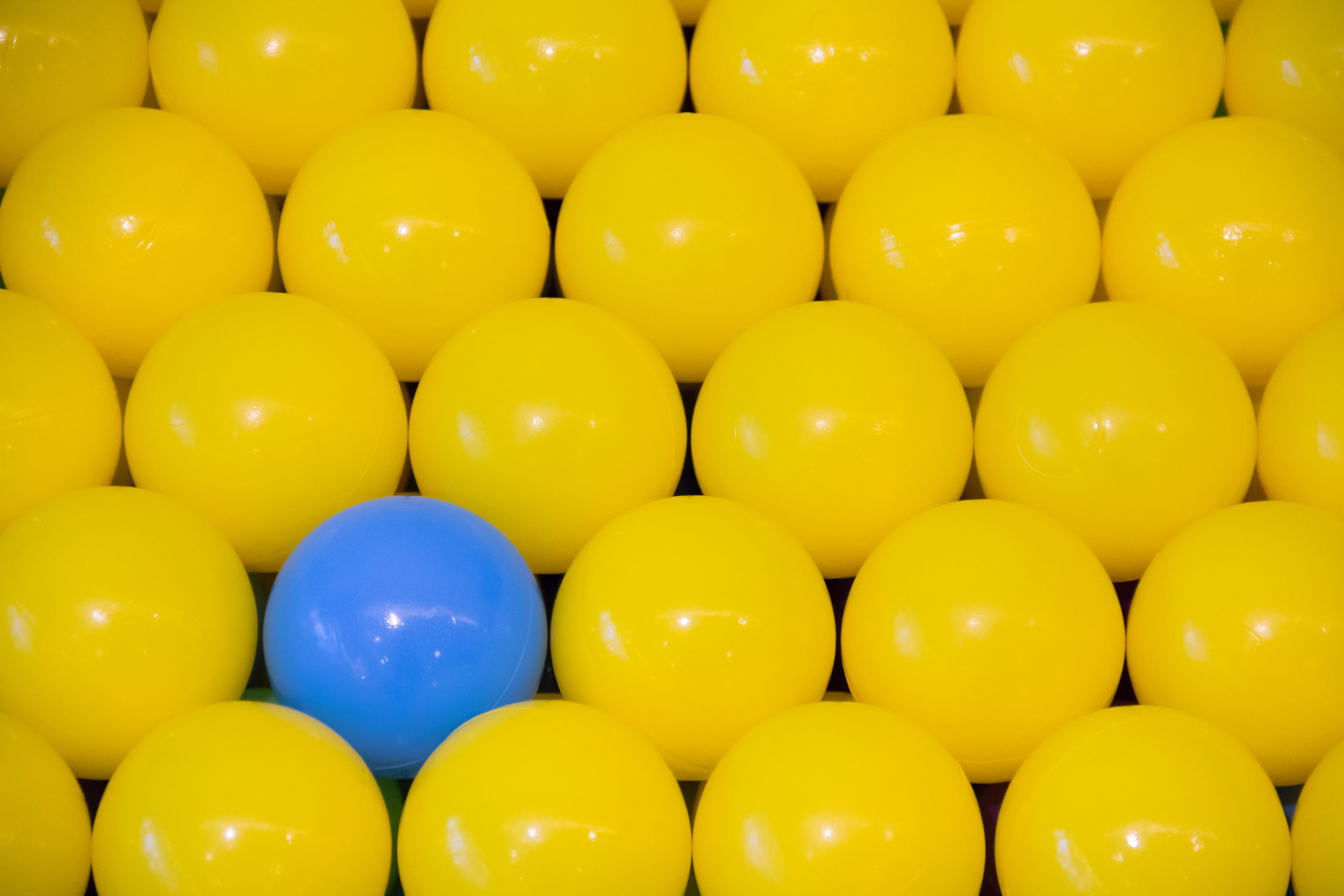 AdobeStock_148429983.jpeg