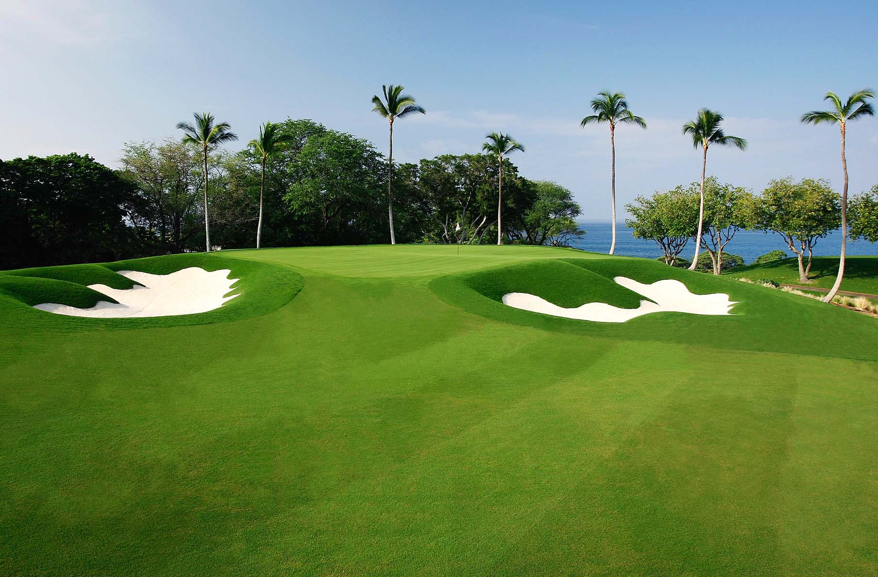 Mauna Kea Golf Course Palms 2.jpg