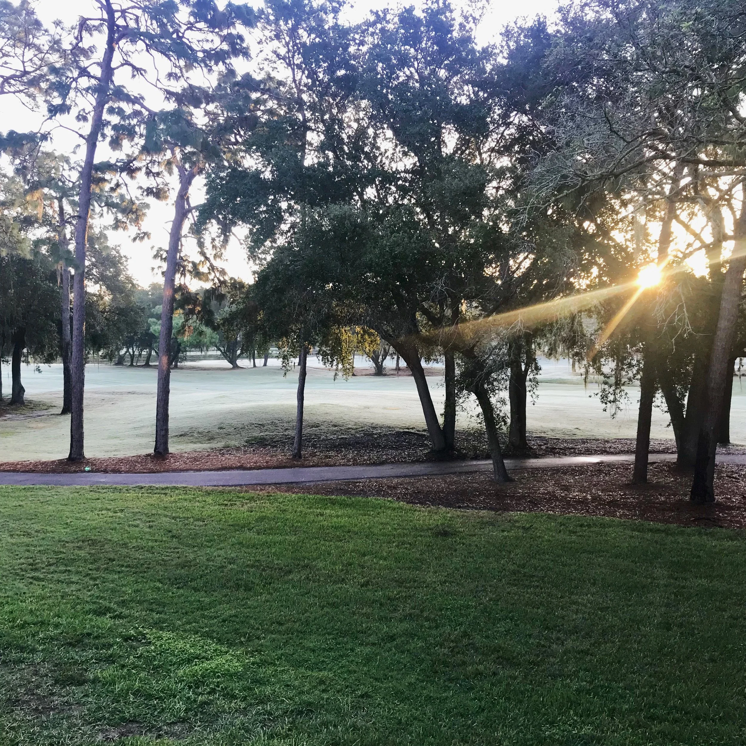 Innisbrook Resort IAGA Conference.JPG