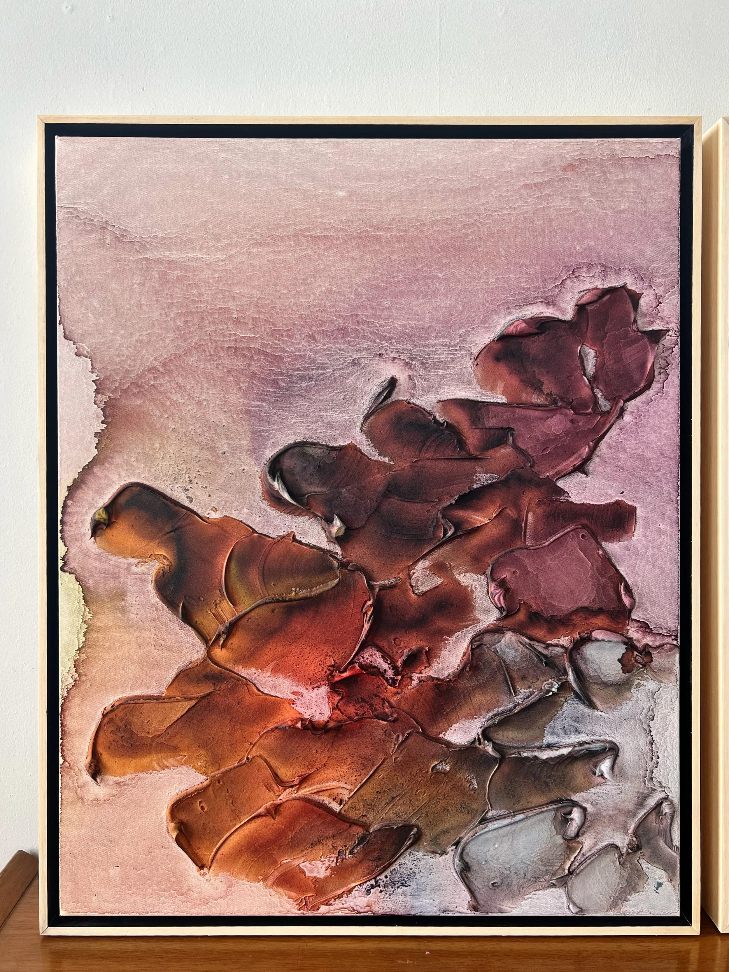 AfterlightImage 844.JPG