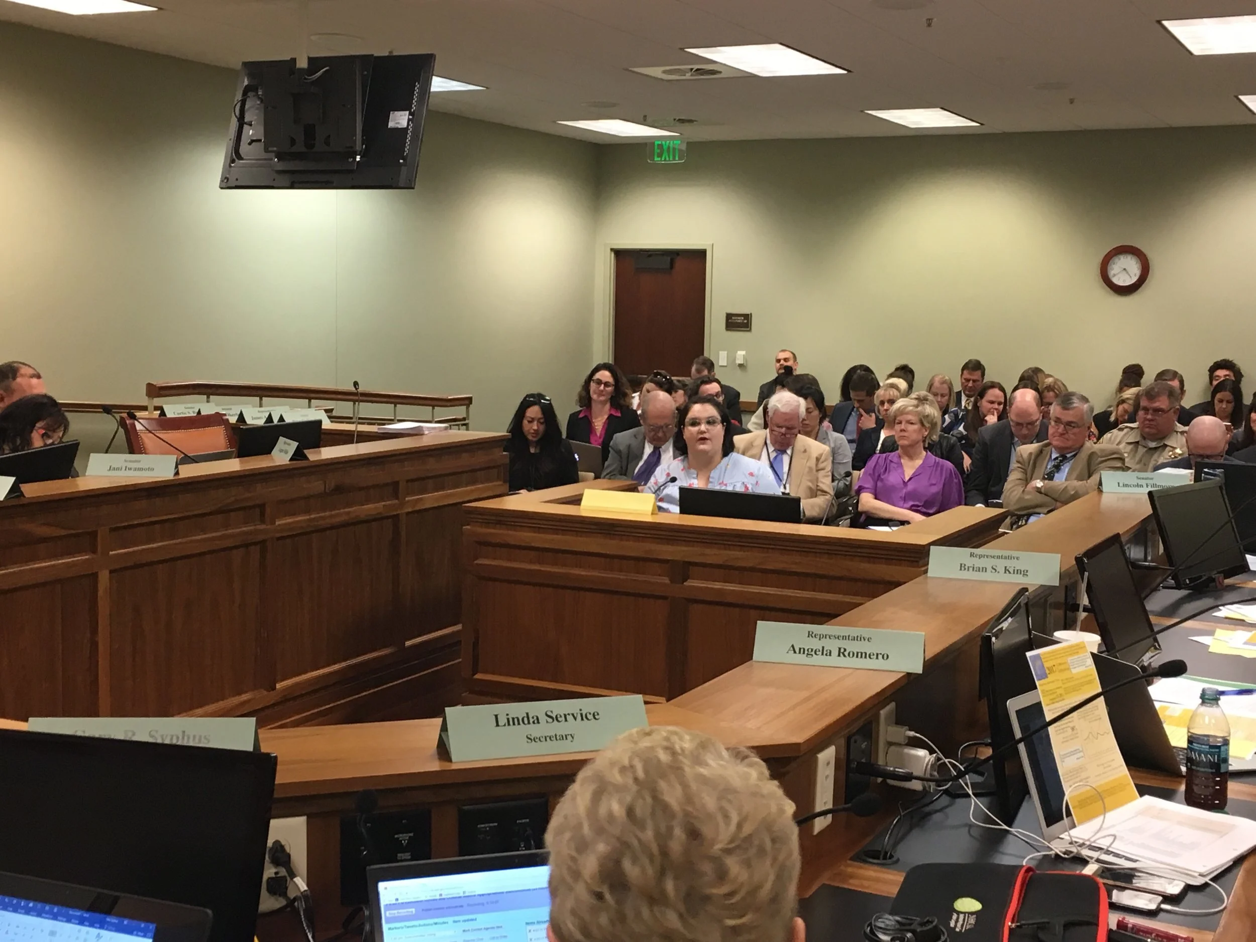 Rape Recovery Center (RRC) Executive Director, Mara Haight, testifying on the RRC's state funding request. 