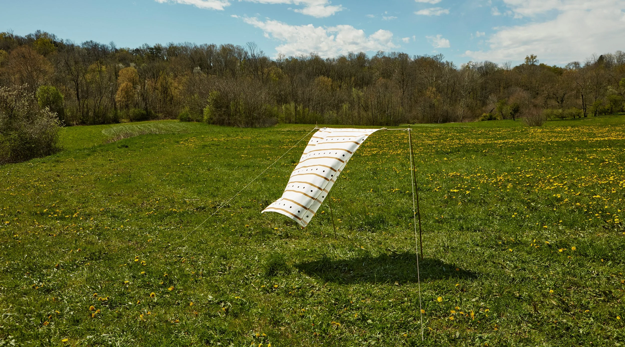Formepiane_banner_2500x1389_2.jpg