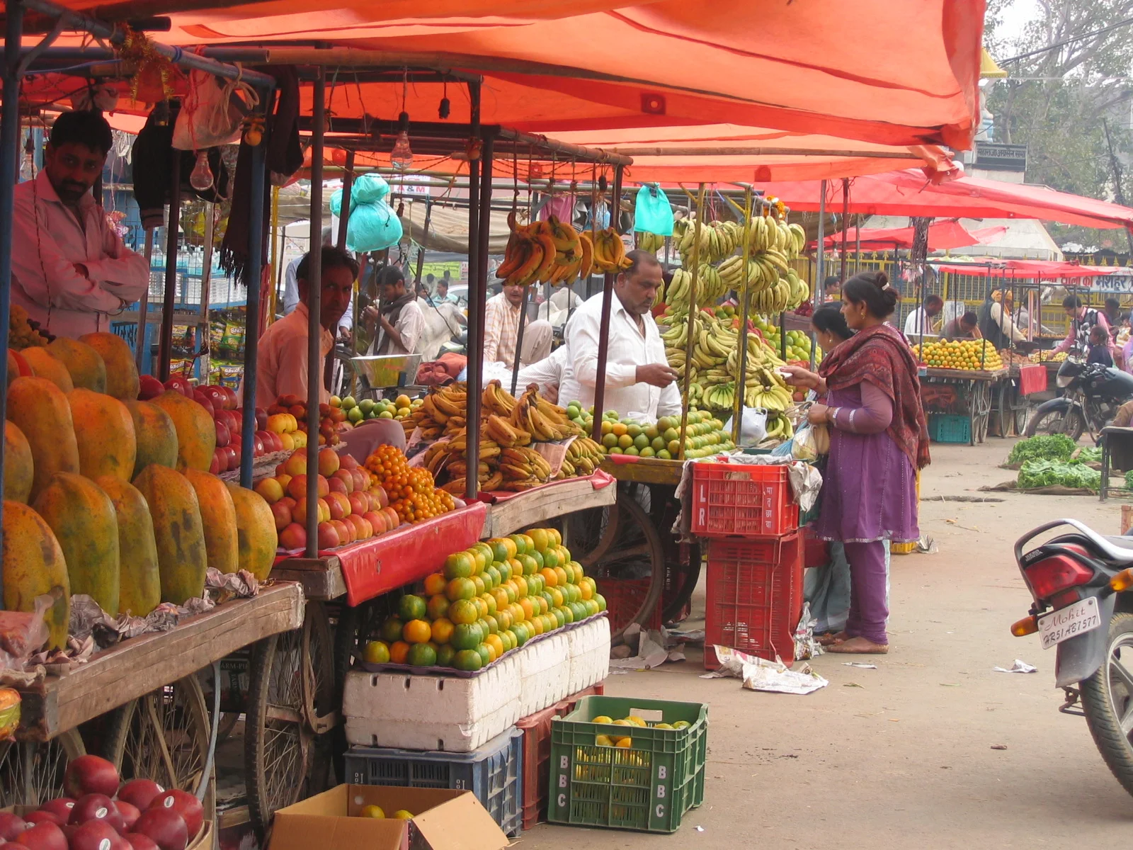 Introduction to Ayurvedic Principles - 5 CE hours