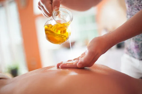 ShoshannaAyurvedaIntroductionForBodyworkers.jpg
