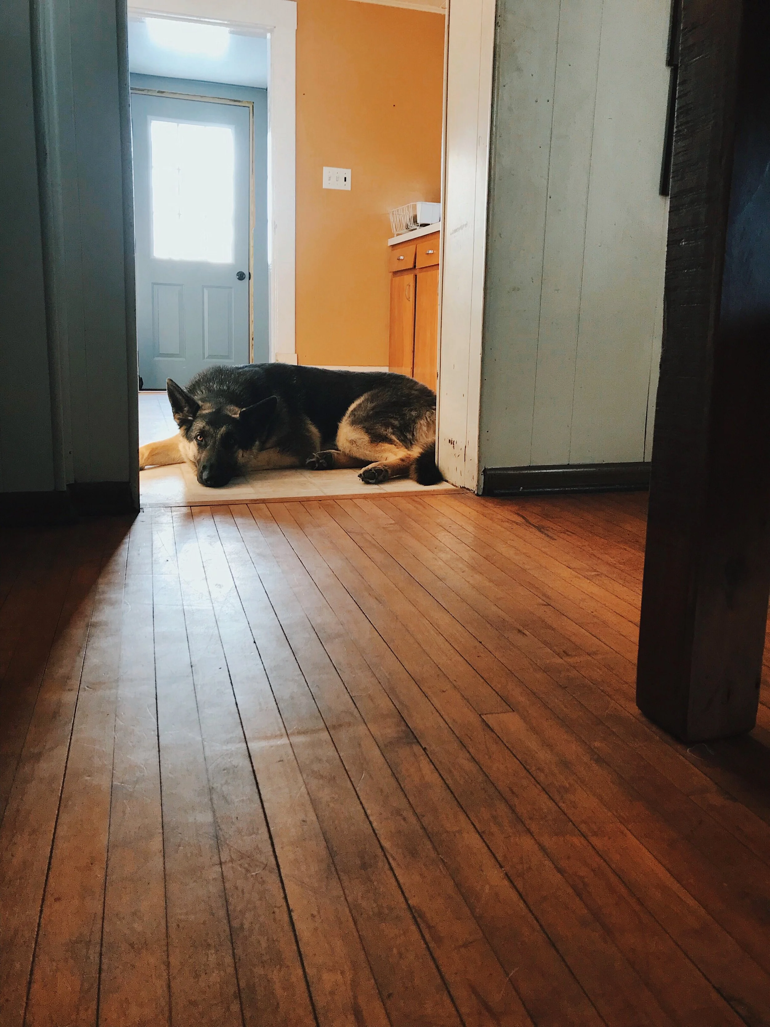 8 tips to help improve your phone photography