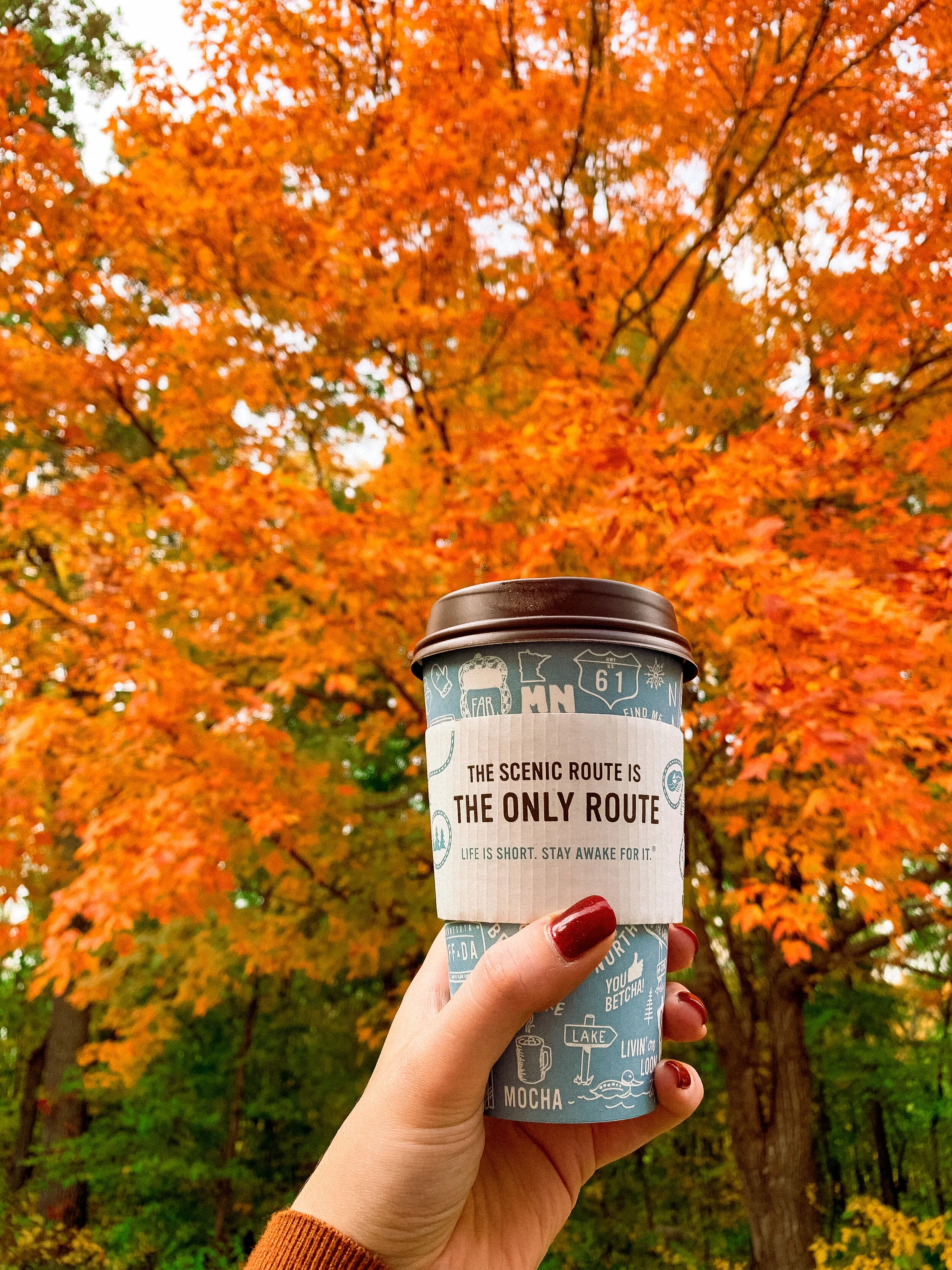 my favorite places for viewing fall foliage in mn