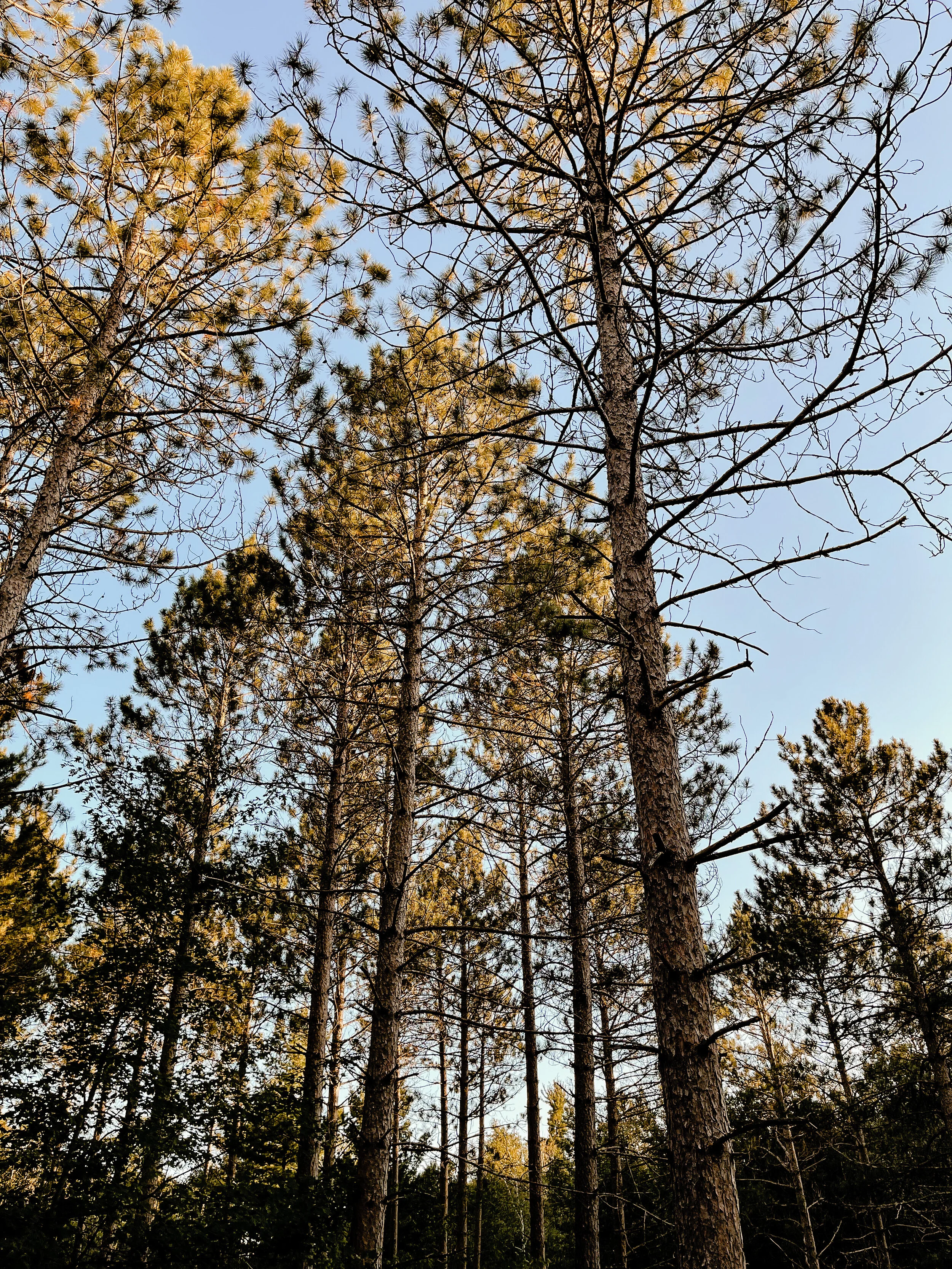 the best place for your next camping trip