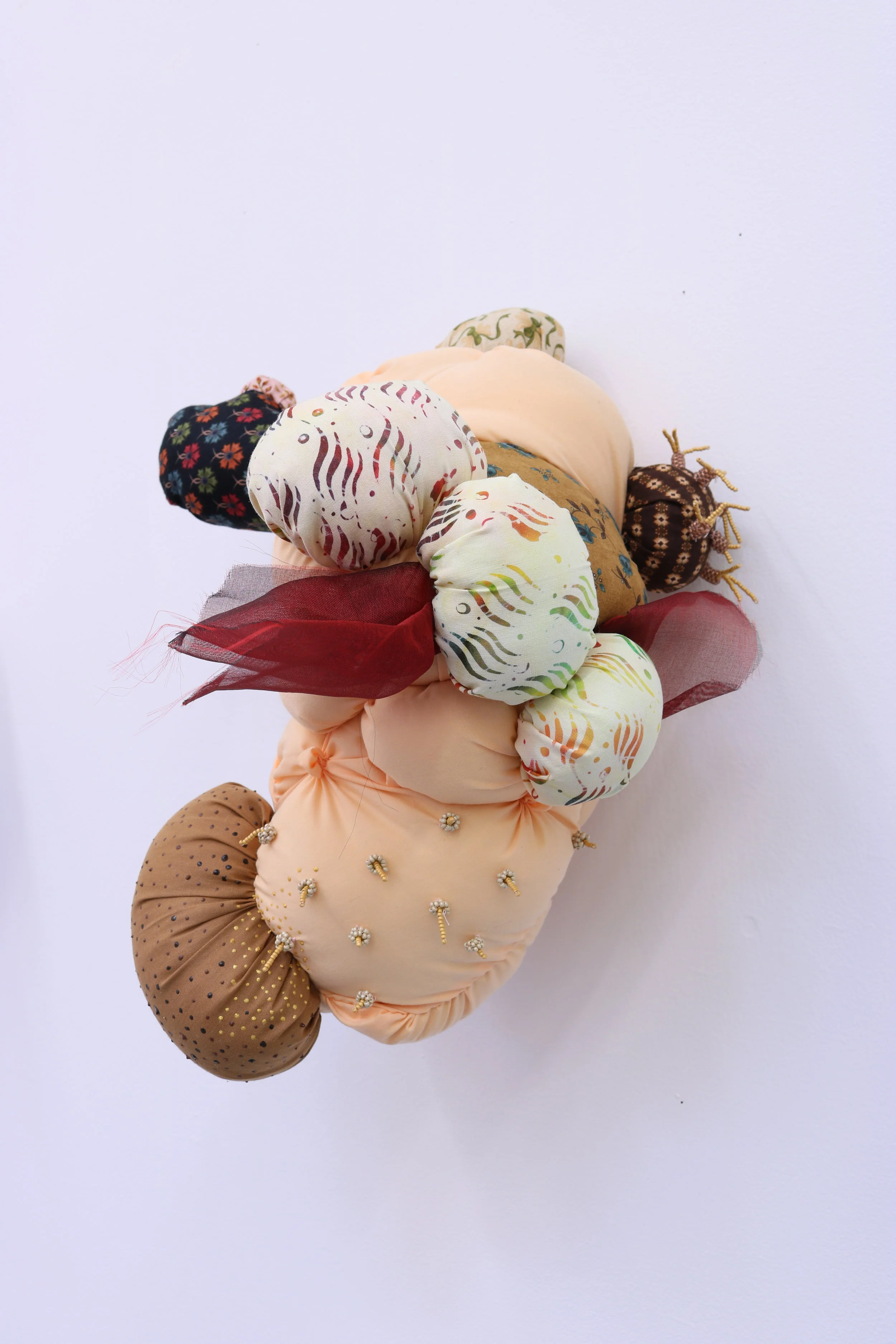 Cinched, Gather at Mt San Antonio Gardens