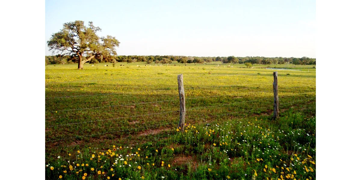 2bar_Ranch 8.jpeg