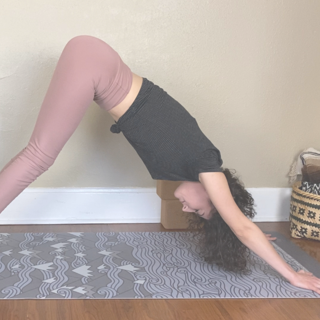 YOGA POSE GLOSSARY — sleepy santosha
