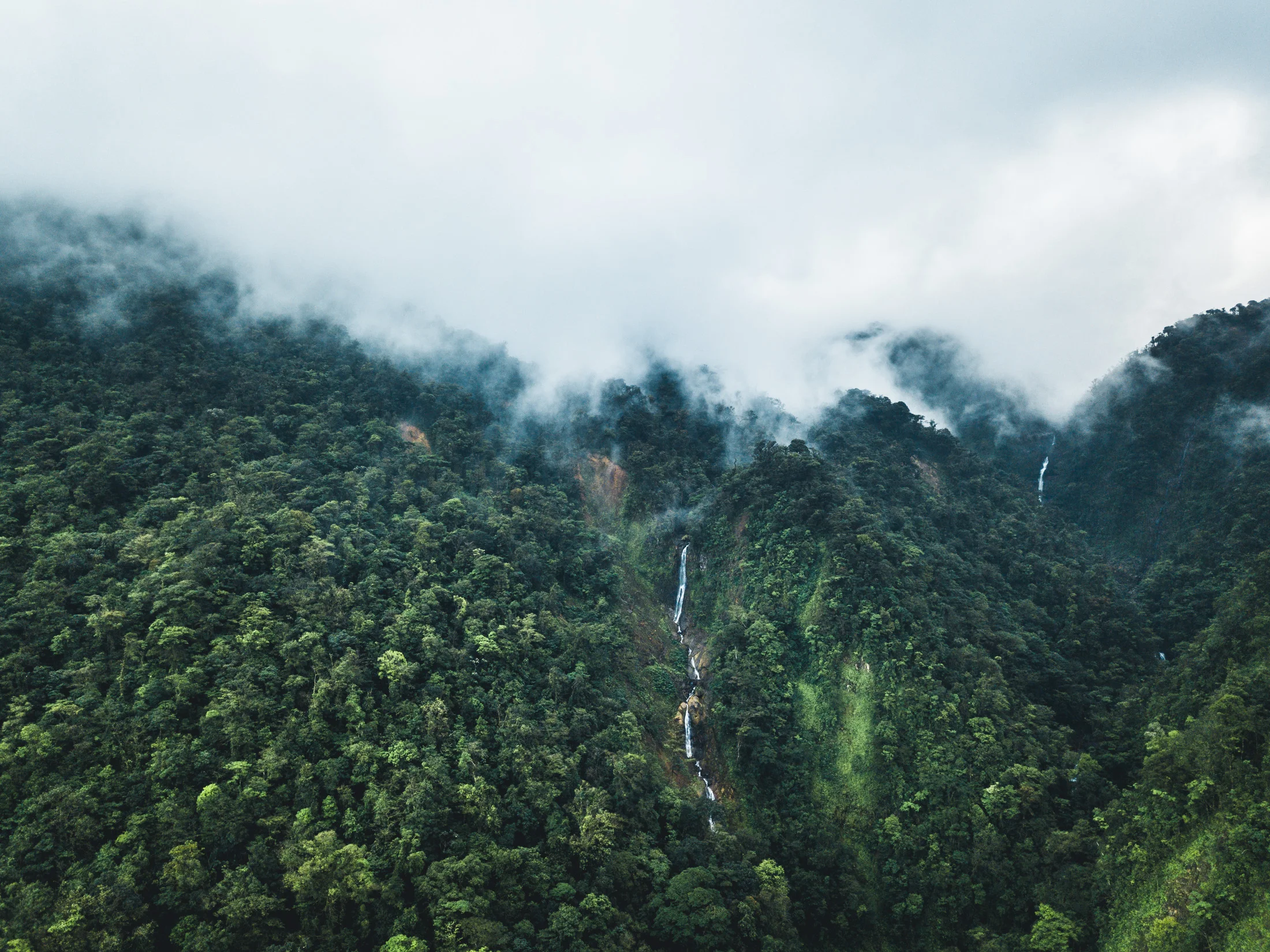 DJI_0200.jpg