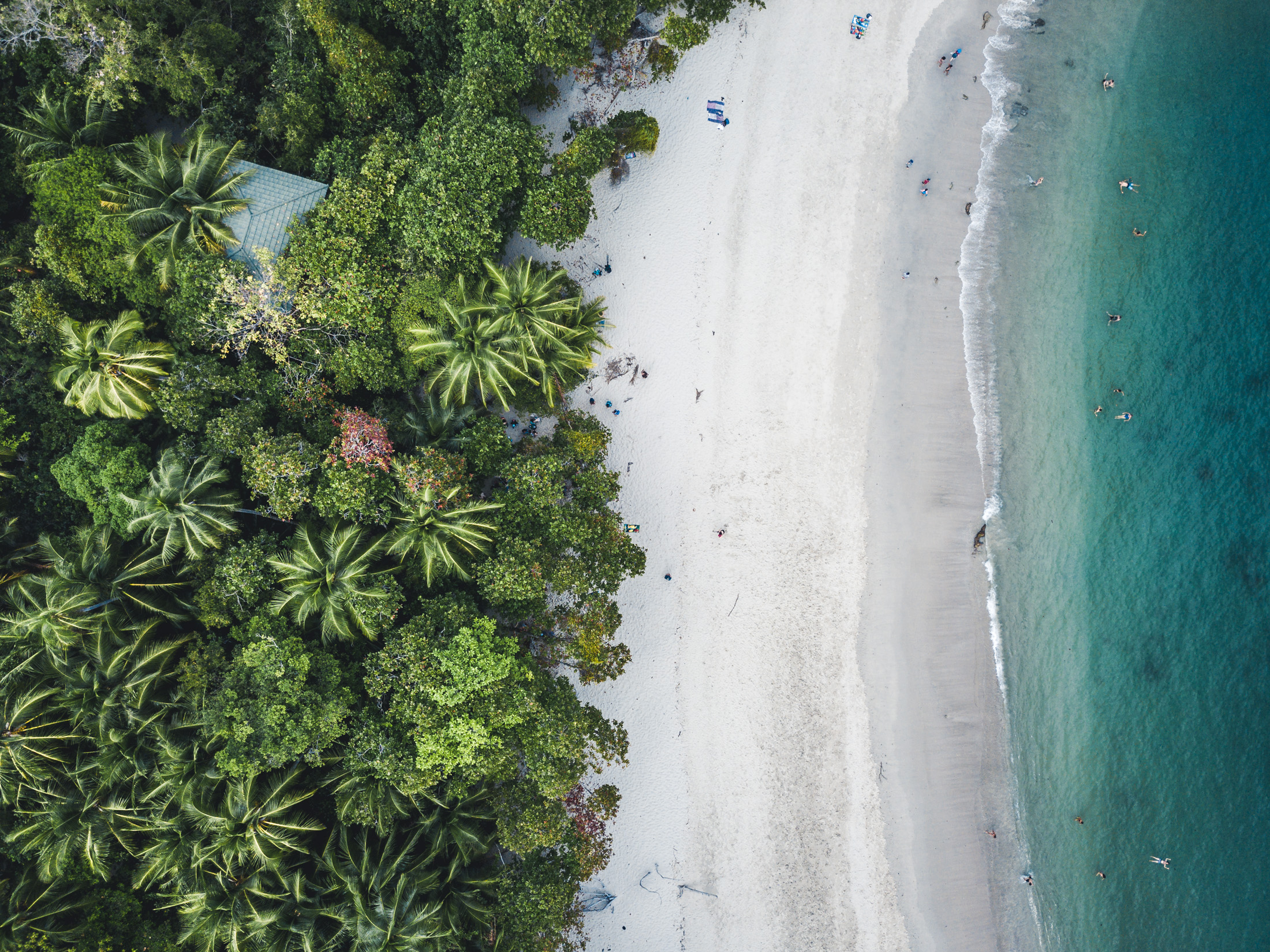 Things I fell in love with in Costa Rica —