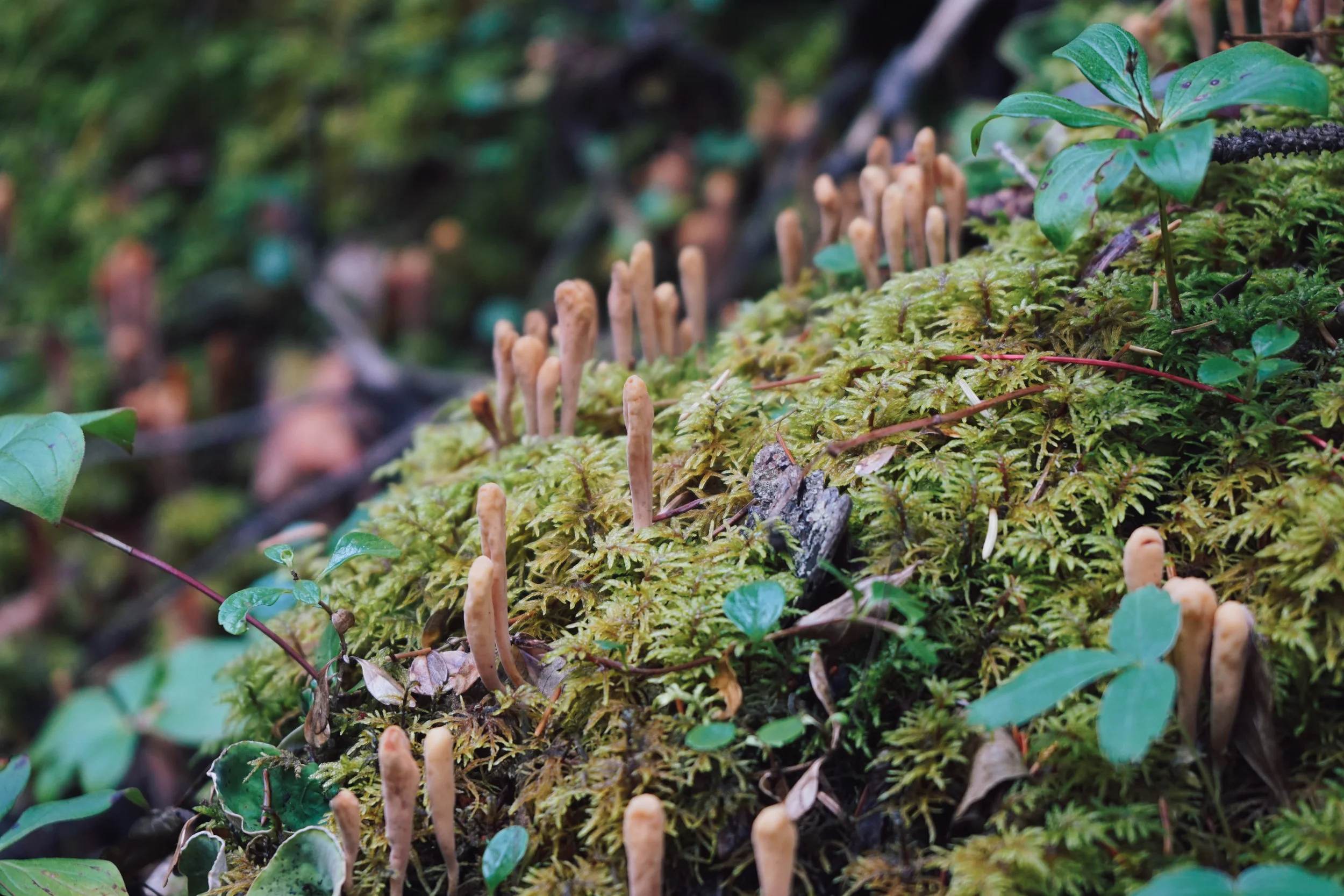 20160910-DSC05655.jpg