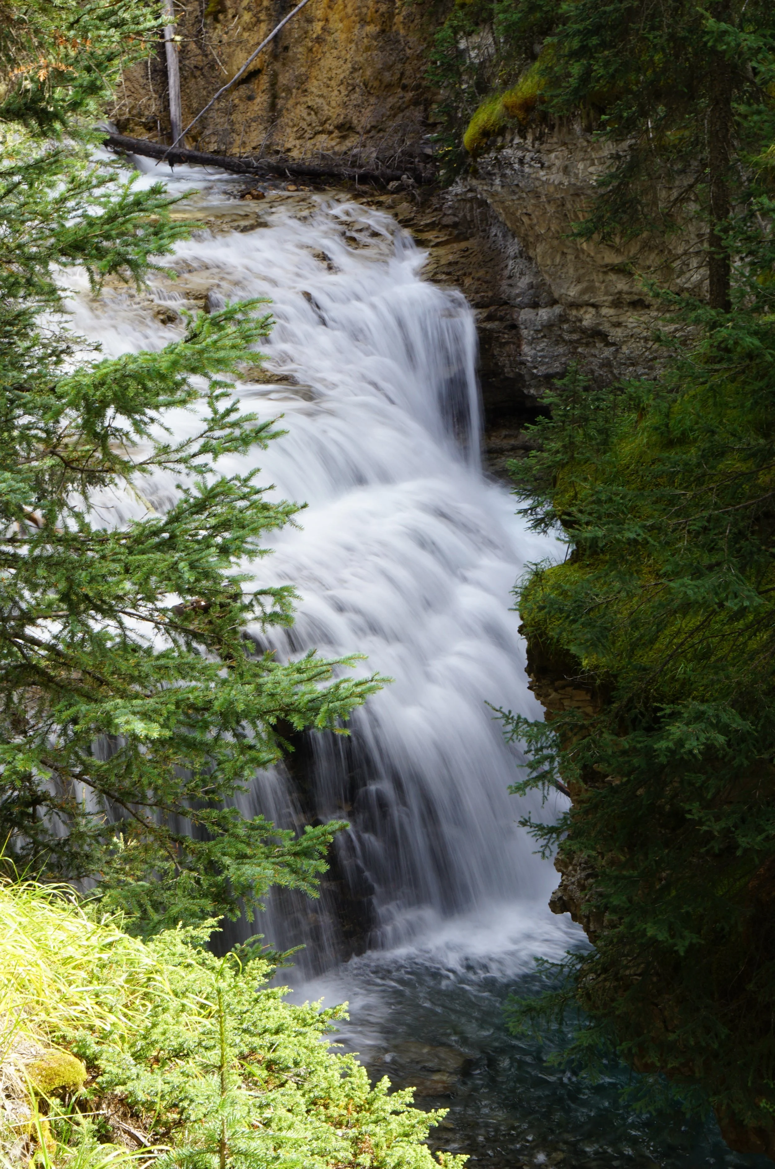 20160910-DSC05560 - Copy.jpg