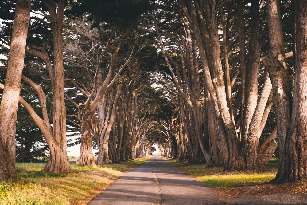 View from the end of the tunnel