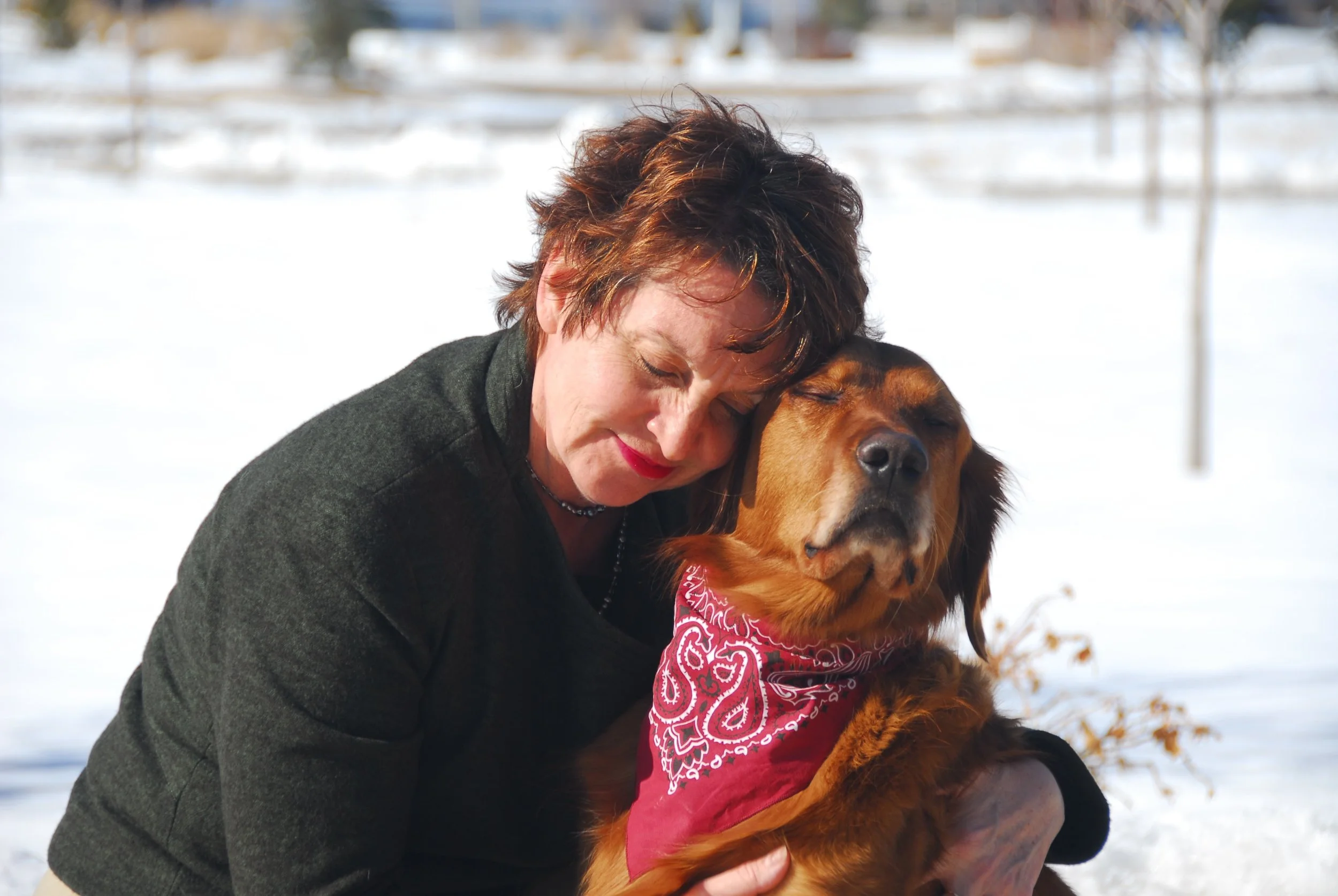 My Cognitive Exercise: One day after my 50th birthday, my rescued retriever and Natasha Richardson saved my life.