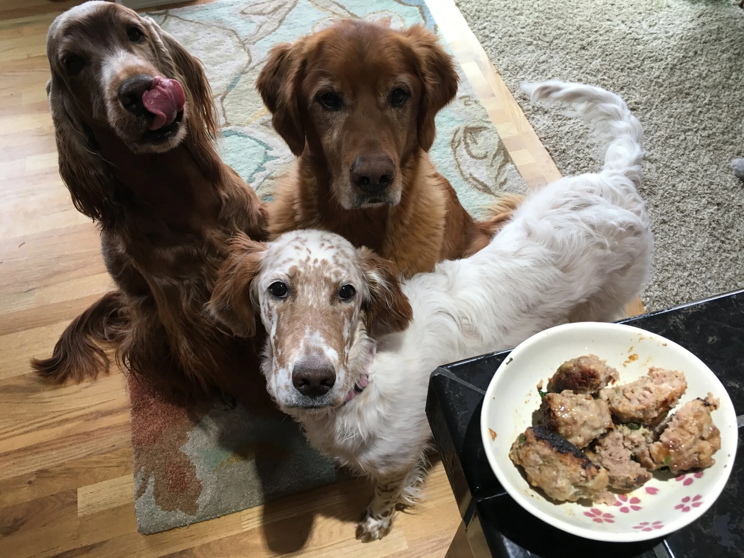 Ceara, Seamus, and Tessa