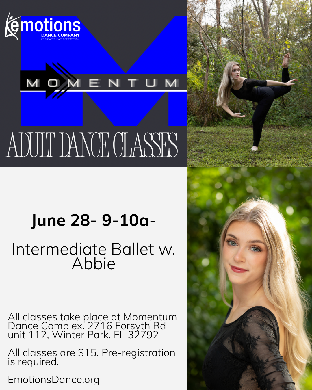 Adult Intermediate Ballet