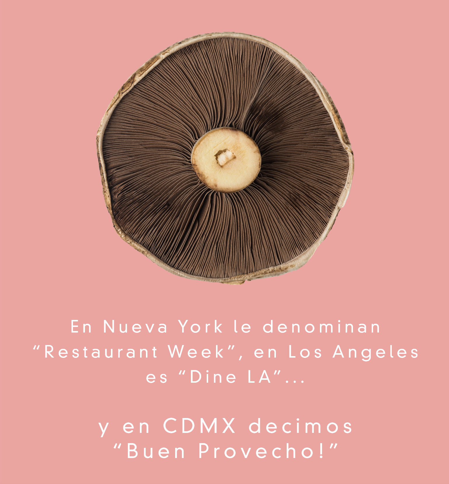 Cdmx Jungla