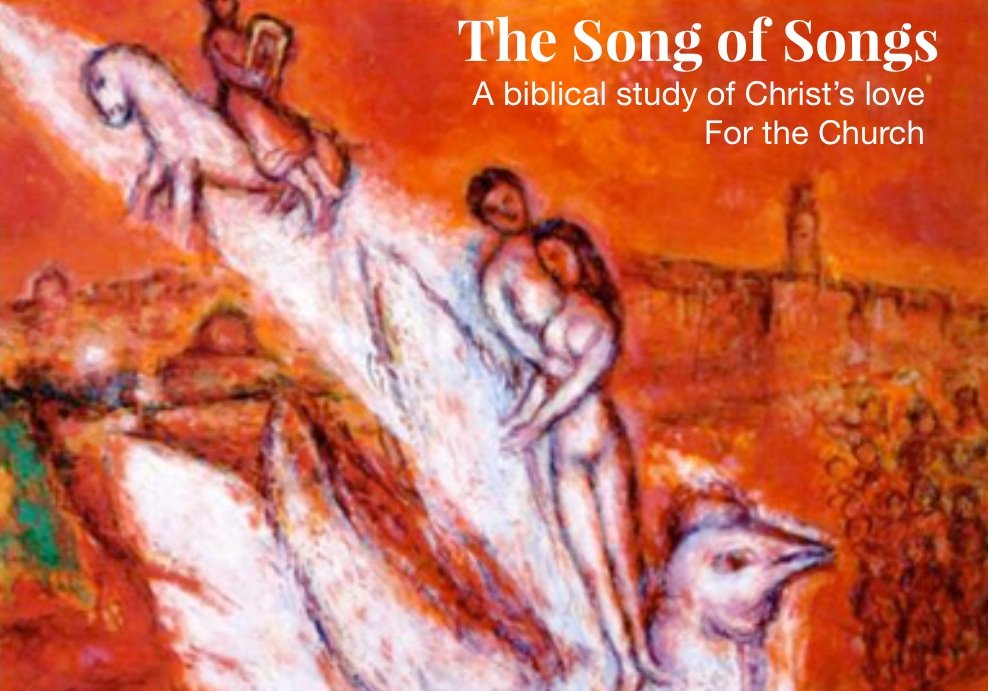  “The Song of Songs” is a unique book in the Bible that has captivated lovers of truth, goodness, and beauty for centuries. Throughout Christian history, this lyric love poem has been interpreted in various ways, mostly, like a song which sings of Ch